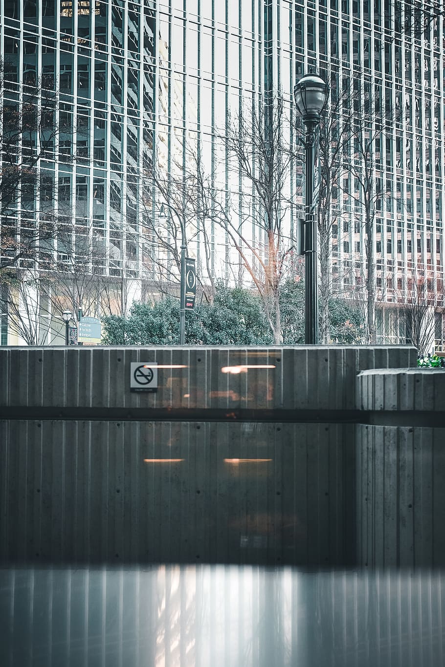 reflection, city, winter, trees, lights, lamp post, atlanta HD wallpaper
