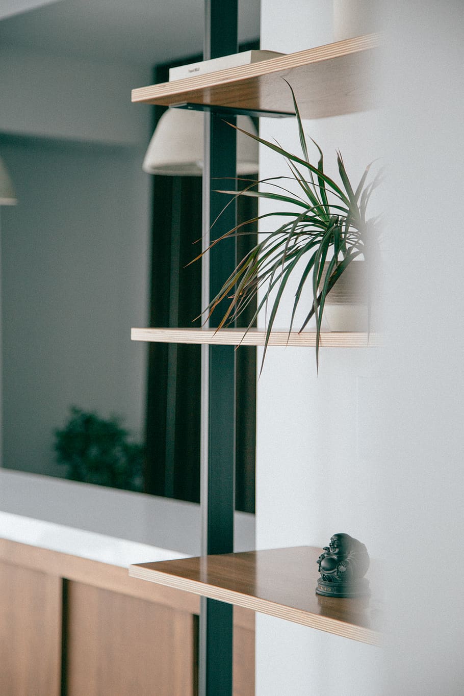 green plant, indoors, interior design, furniture, tabletop, shelf HD wallpaper