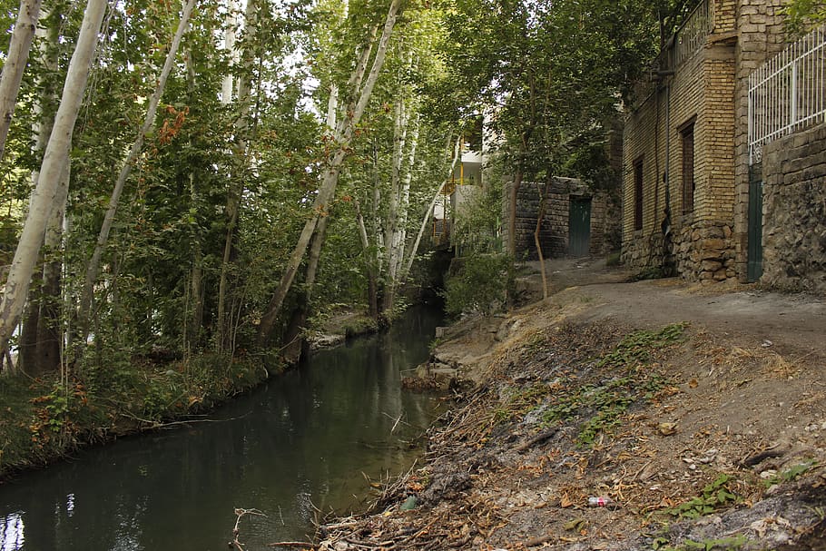 iran, baghbahadoran, trees, river, house, summer, plant, water HD wallpaper
