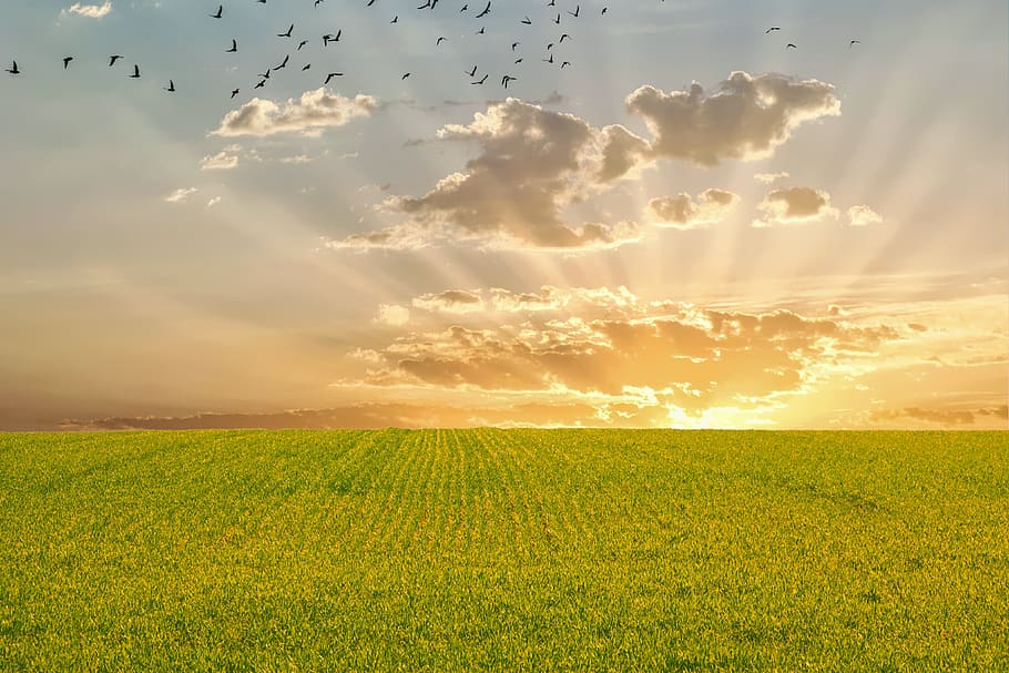 sunset, sunrise, landscape, nature, sky, clouds, dawn, scenic HD wallpaper