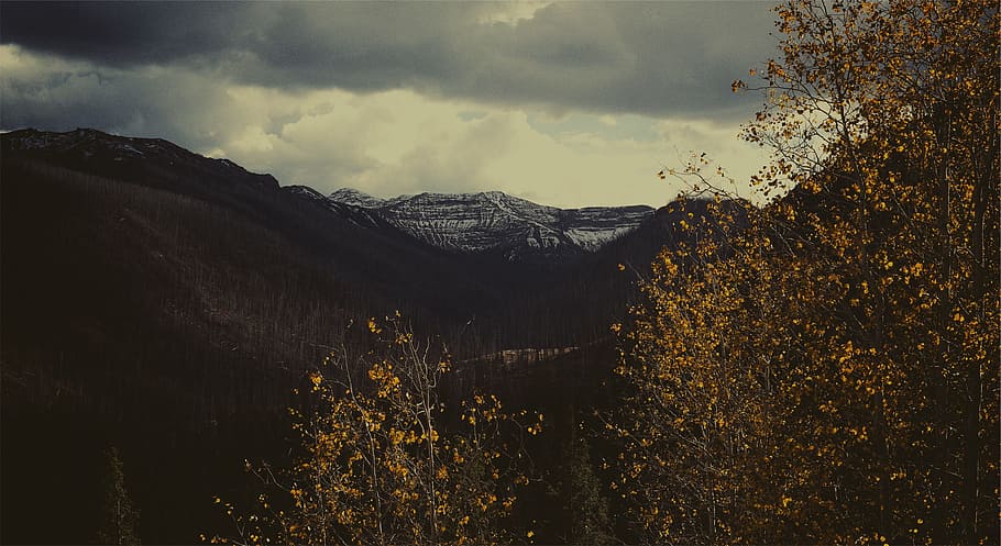 black, brown, clouds, gray, mountains, orange, snow, trees HD wallpaper