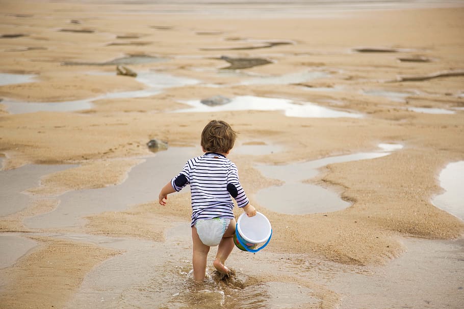 Toddler Walking on Shoreline, back view, beach, bucket, carrying, HD wallpaper