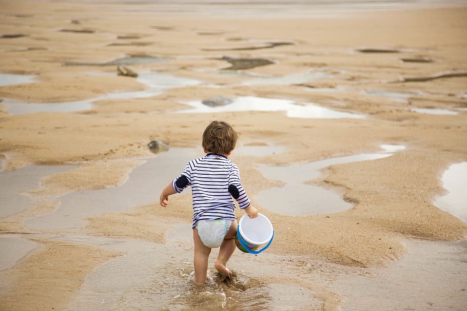 Toddler Walking on Shoreline, back view, beach, bucket, carrying HD wallpaper