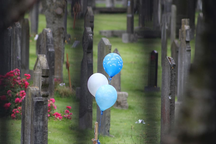 graveyard, balloon, balloons, happy birthday, no people, plant