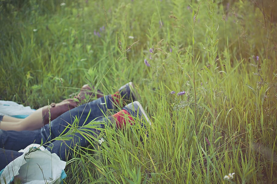 Person Lying on Green Grass Field, beautiful, environment, flora HD wallpaper