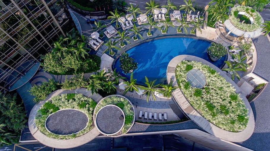 hotel, buildings, structure, swimming, pool, nature, trees HD wallpaper