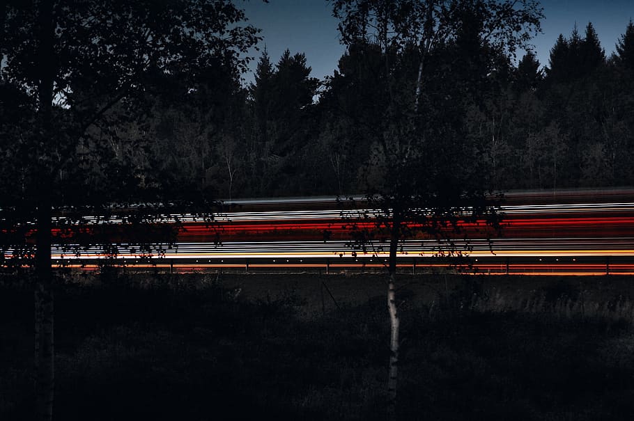 trees, road, lights, dark, sky, way, nature, trunk, plants HD wallpaper