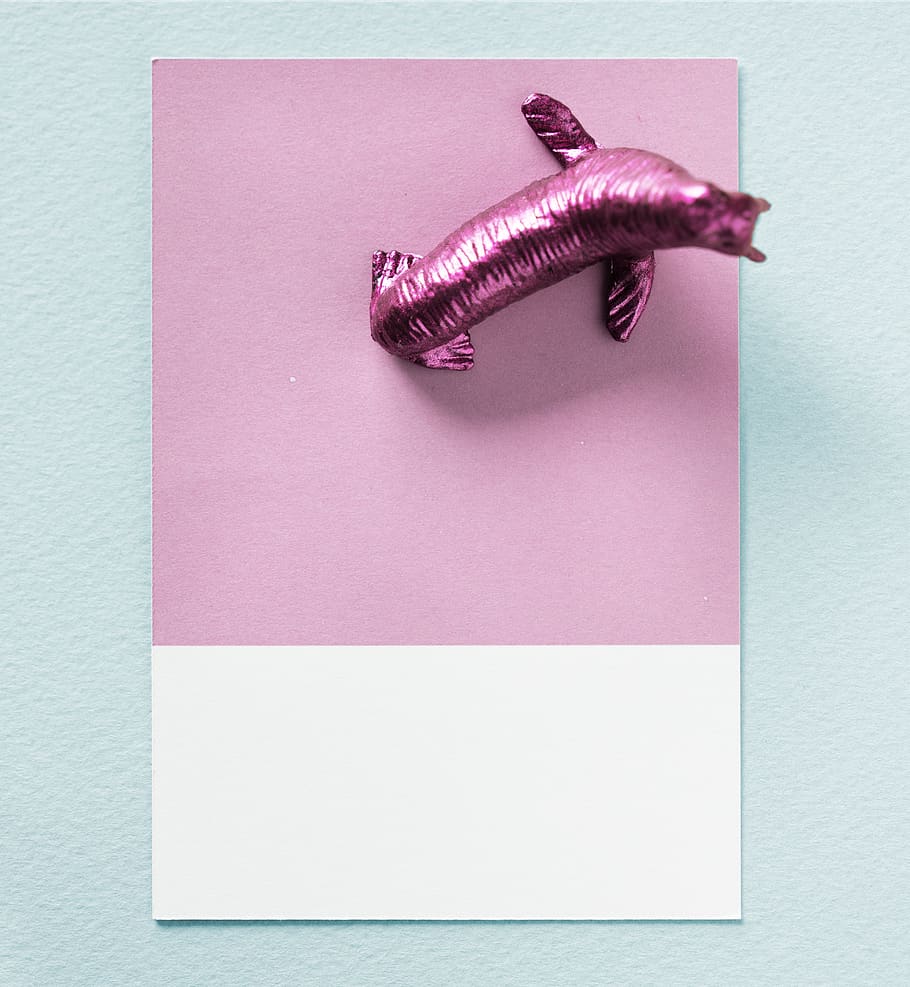 abstract, animal, background, card, colorful, concept, creative HD wallpaper