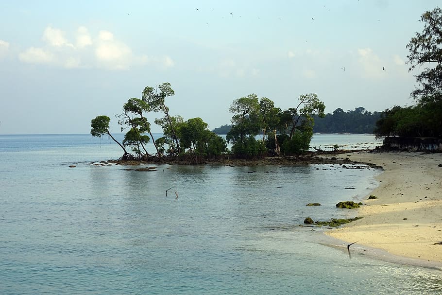 beach, sea, shore, coast, scenic, vijaynagar, havelock, andaman HD wallpaper