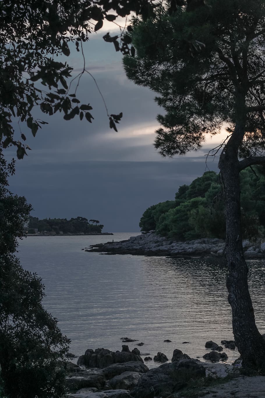 croatia, rovinj, park forest zlatni rt, sunset, water, calm, HD wallpaper