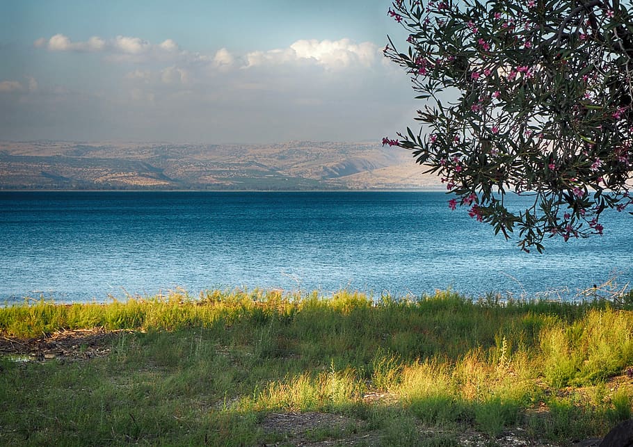 sea, sea of galilee, tabgha, lake, water, tiberias, israel, HD wallpaper