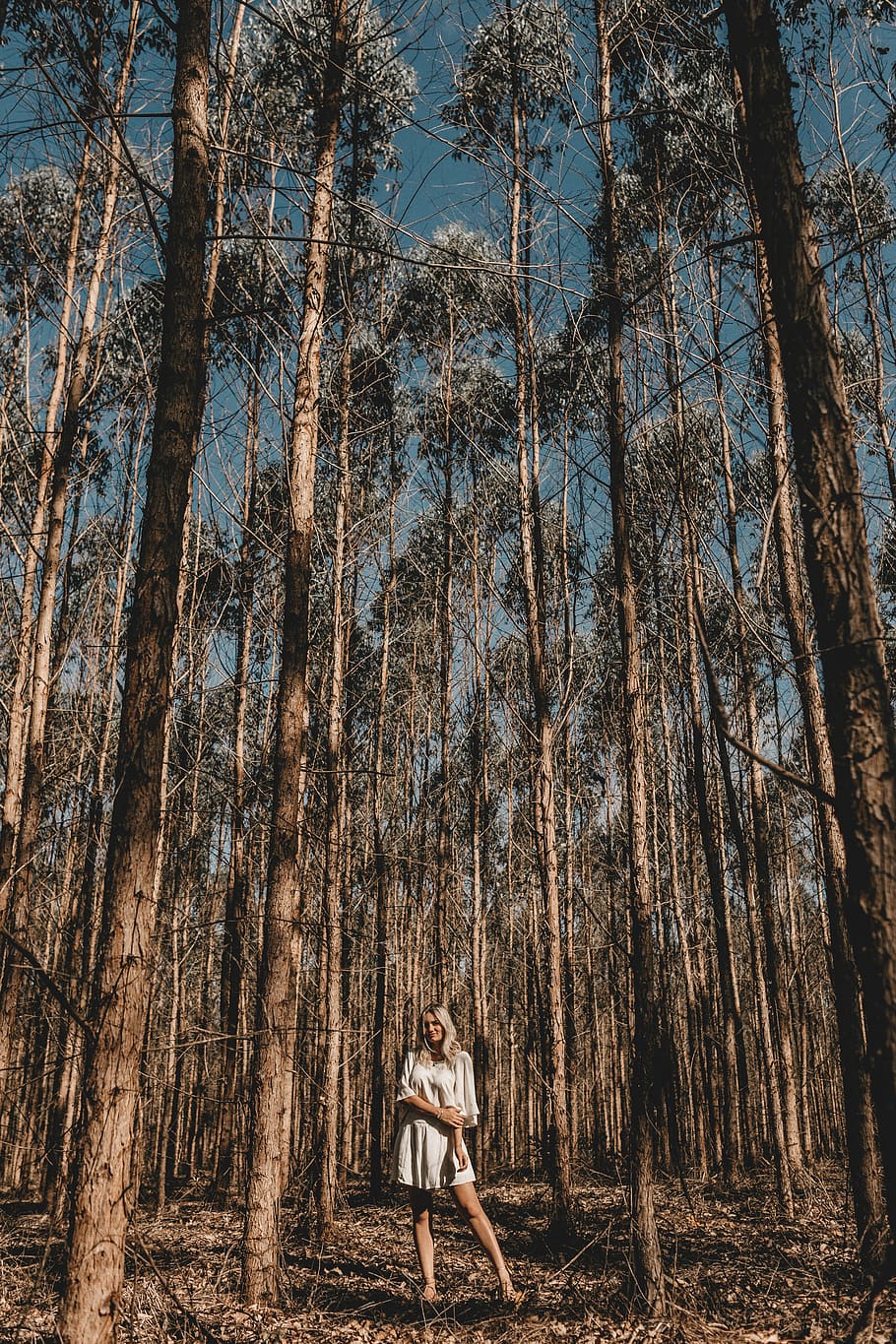 woman standing between trees, person, human, plant, vegetation HD wallpaper