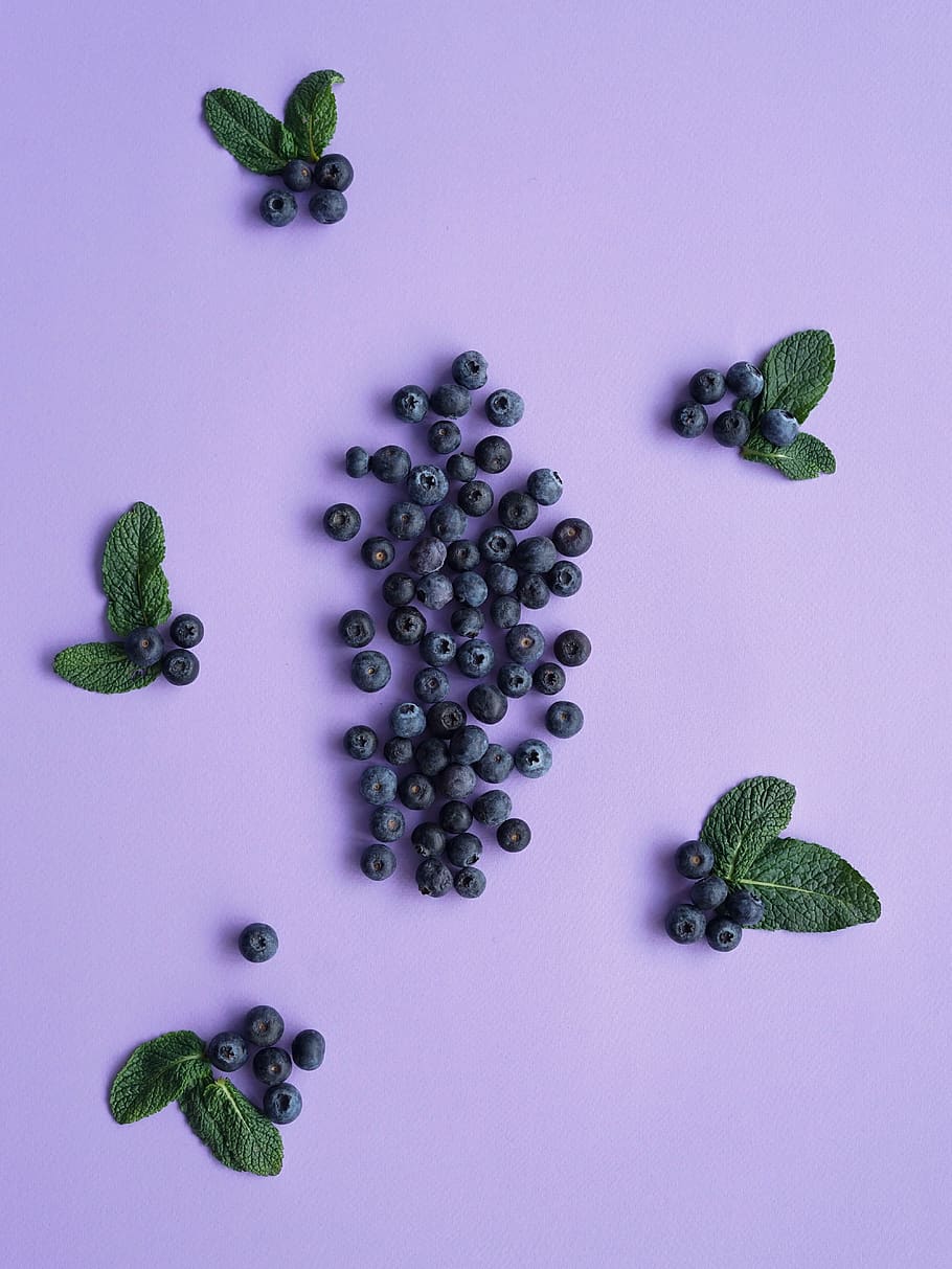 black berries, food, freshness, healthy eating, wellbeing, indoors HD wallpaper