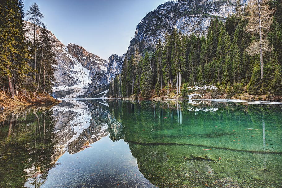 Calm Body Of Water , daylight, environment, forest, HD wallpaper HD wallpaper