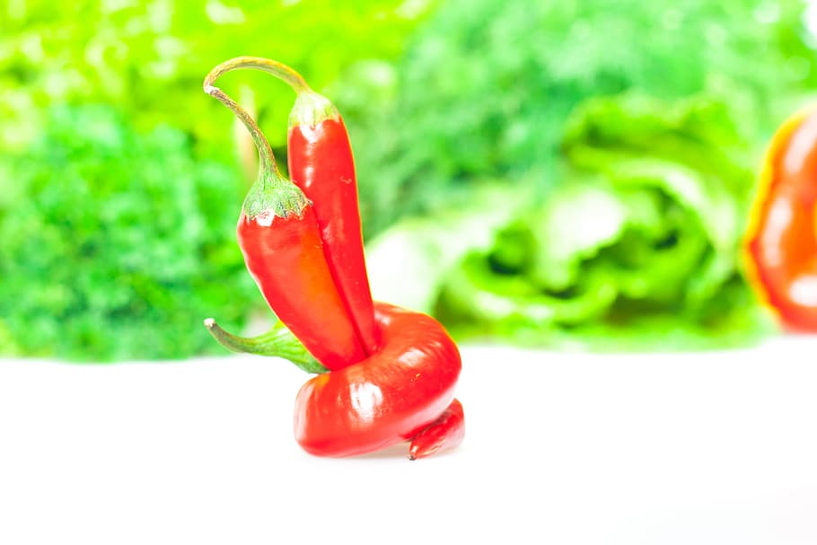 red, pepper, white, isolated, dieting, food, fresh, group, healthy HD wallpaper