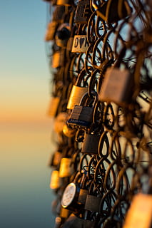 gray Master padlock lot, bicycle, bike, transportation, vehicle HD wallpaper