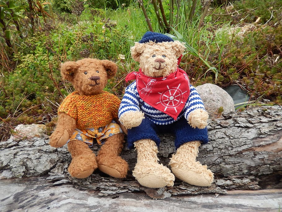 2 Brown Teddy Bear, cute, grass, log, stuffed animals, stuffed toys HD wallpaper