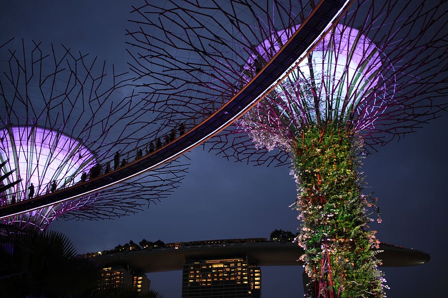 singapore, gardens by the bay, purple, blue, future, trees