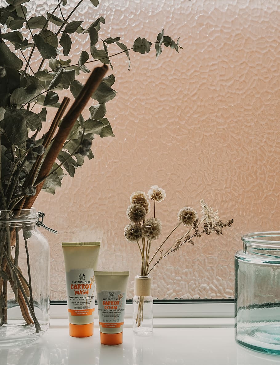 two white-and-orange soft tubes, plant, vase, wall - building feature HD wallpaper