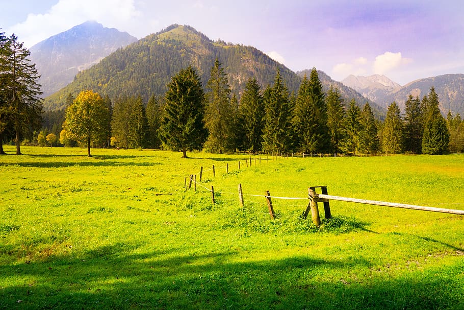 meadow, mountain, landscape, mountains, nature, alpine, summer HD wallpaper