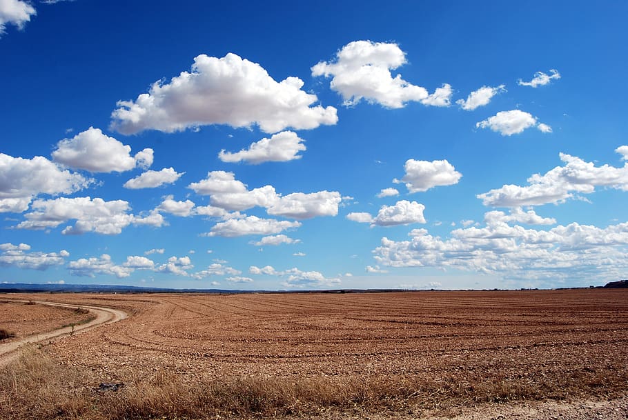 Brown Field and Blue Sky, arid, bright, clouds, dirt, dry, horizon HD wallpaper