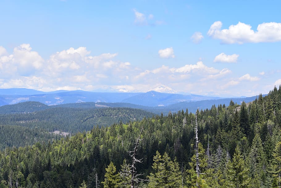 mountains, outdoors, trees, forest, sky, cloud - sky, beauty in nature HD wallpaper
