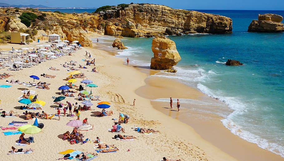 people sun bathing on beach, sea, water, land, sand, group of people HD wallpaper