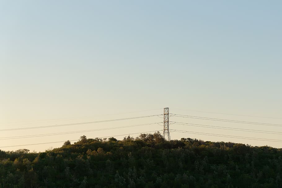 forest, electricity, wires, sky, telegraph, cable, power line HD wallpaper