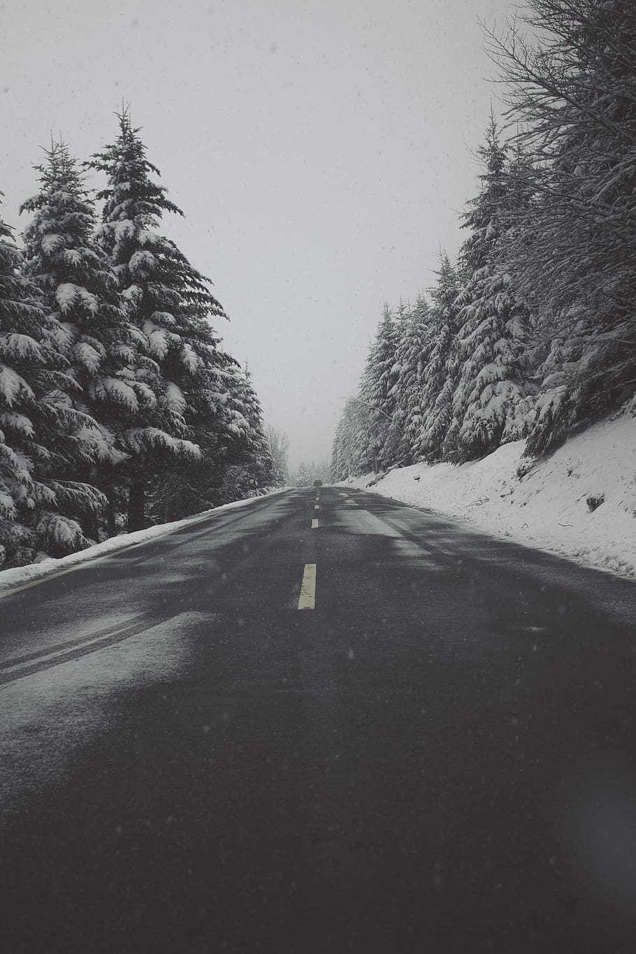 winter, road, snow, snowing, snowfall, car, forest, blackforest HD wallpaper