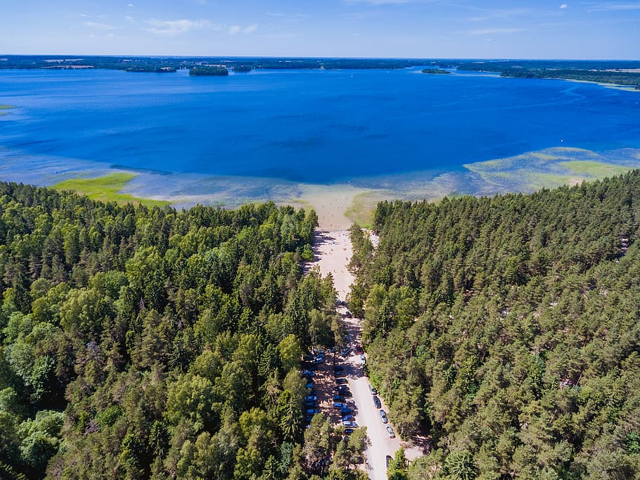 Swim forest. Озеро Плателяй Литва. Плателяй Литва. Плателяй озеро.