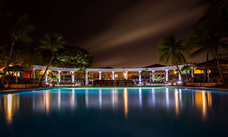 swimming pool, night, dark, lights, palm trees, water, reflection HD wallpaper