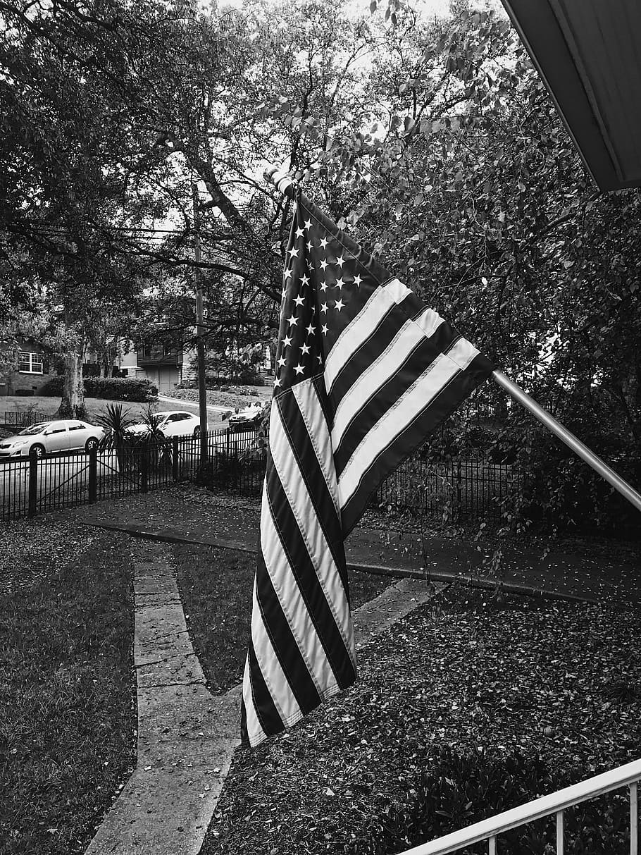 united states, nashville, america, usa, black and white, fall