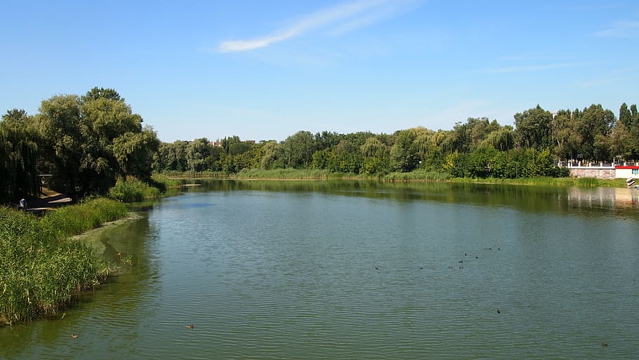 ukraine, mirgorod, river, summer, travel, nature, trees, green HD wallpaper