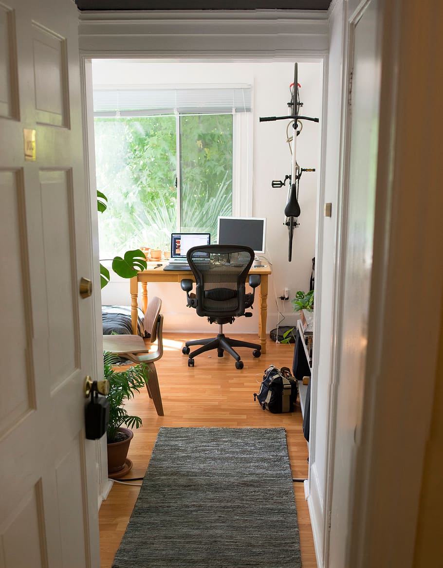 monstera, deliciousa, aeron, eames, plywood, bike, computer HD wallpaper