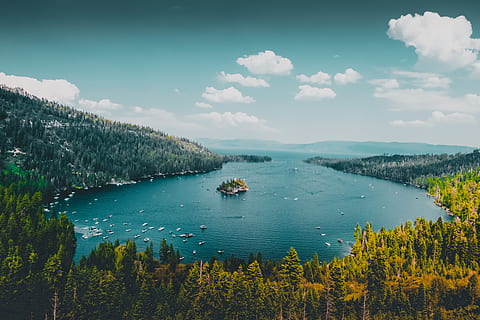 green-leafed trees, nature, outdoors, land, water, shoreline HD wallpaper