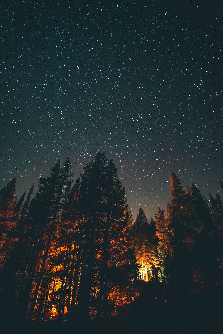HD wallpaper: trees under the stars, sky, long exposure, fire, camping,  campfire | Wallpaper Flare