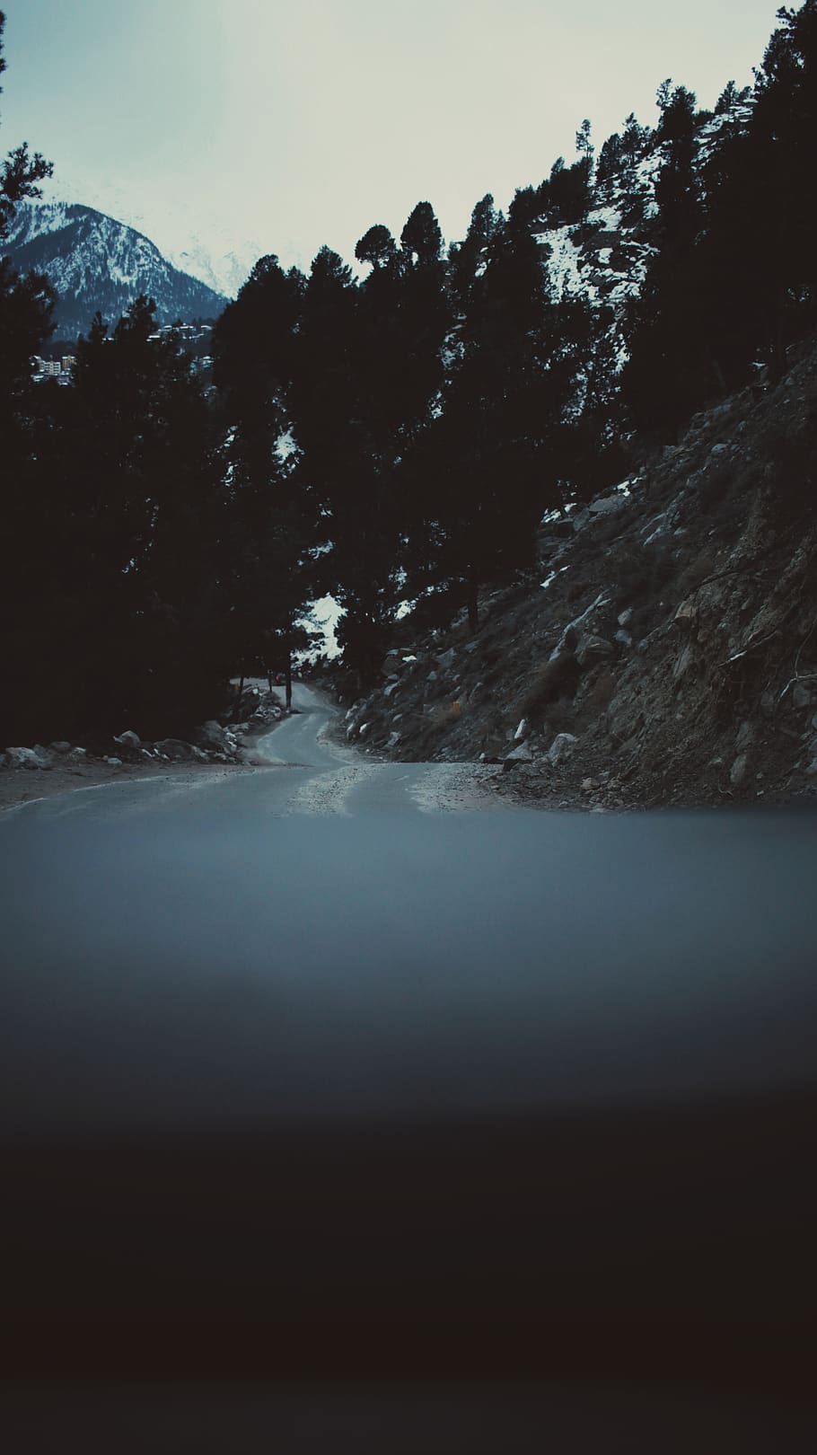 concrete road between forest during daytime, nature, snow, tree HD wallpaper