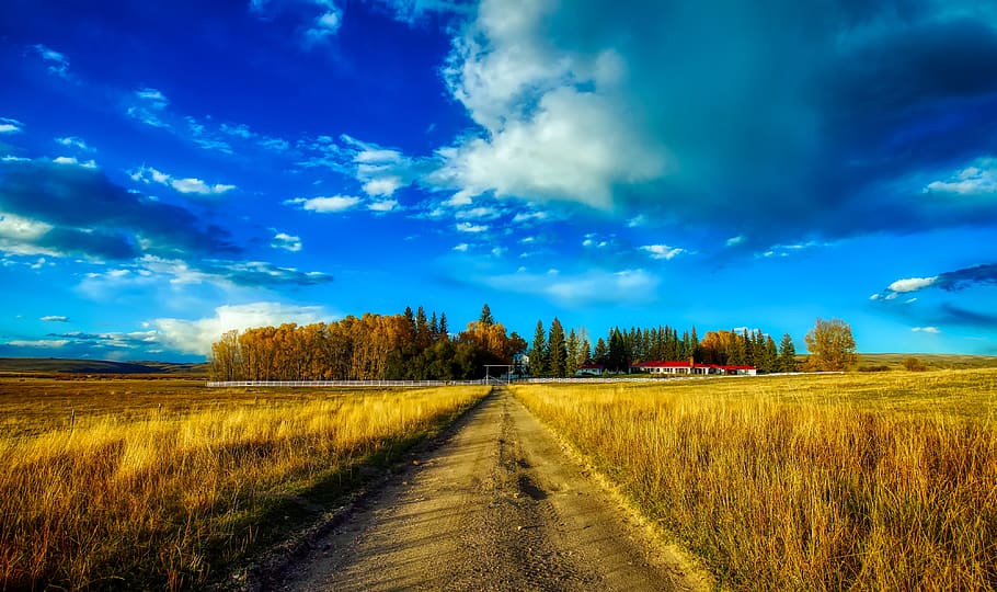 ranch, farm, sky, clouds, landscape, scenic, plants, field HD wallpaper