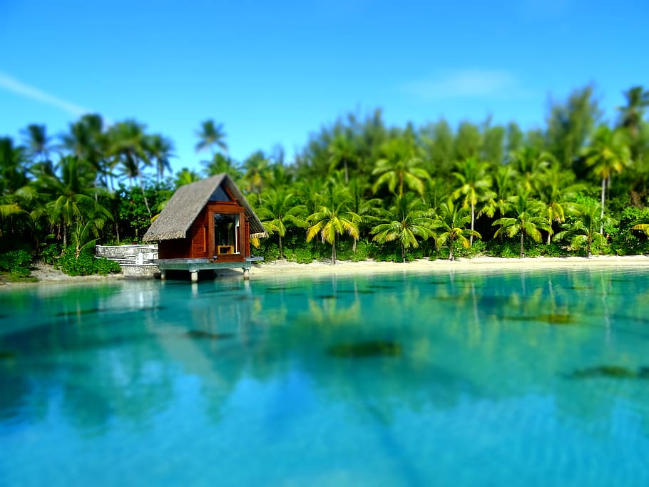 french polynesia, bora bora, beach, palms, paradise, sea, hut HD wallpaper