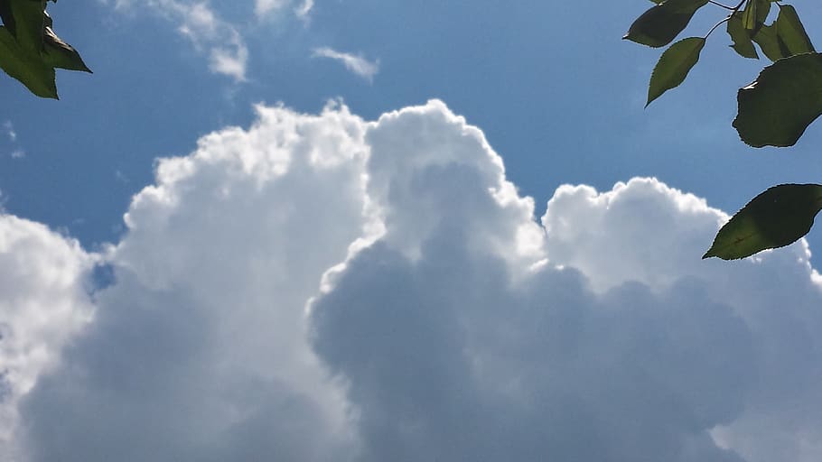 sky, nature, leaves, clouds, cloud - sky, beauty in nature HD wallpaper