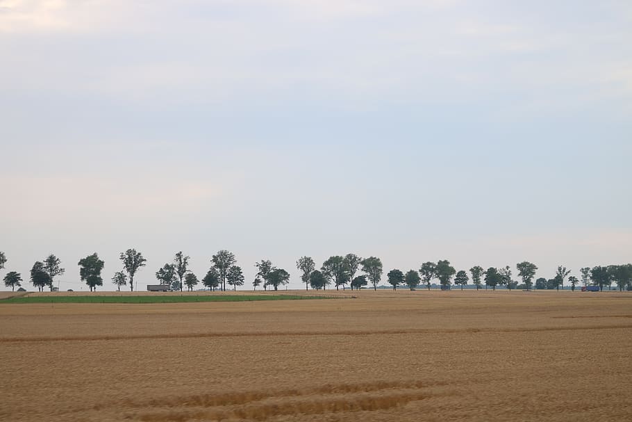 flat land, trees, fields, landscape, tranquil scene, environment HD wallpaper