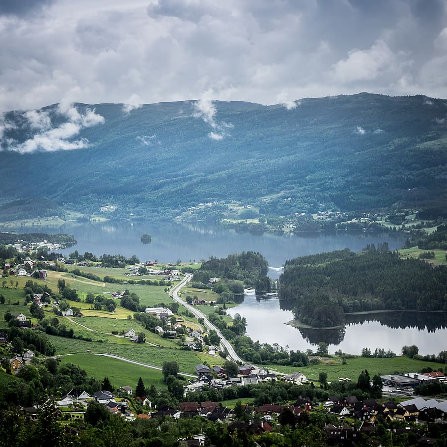 norway, voss, forest, trees, nature, landscape, green, wilderness HD wallpaper
