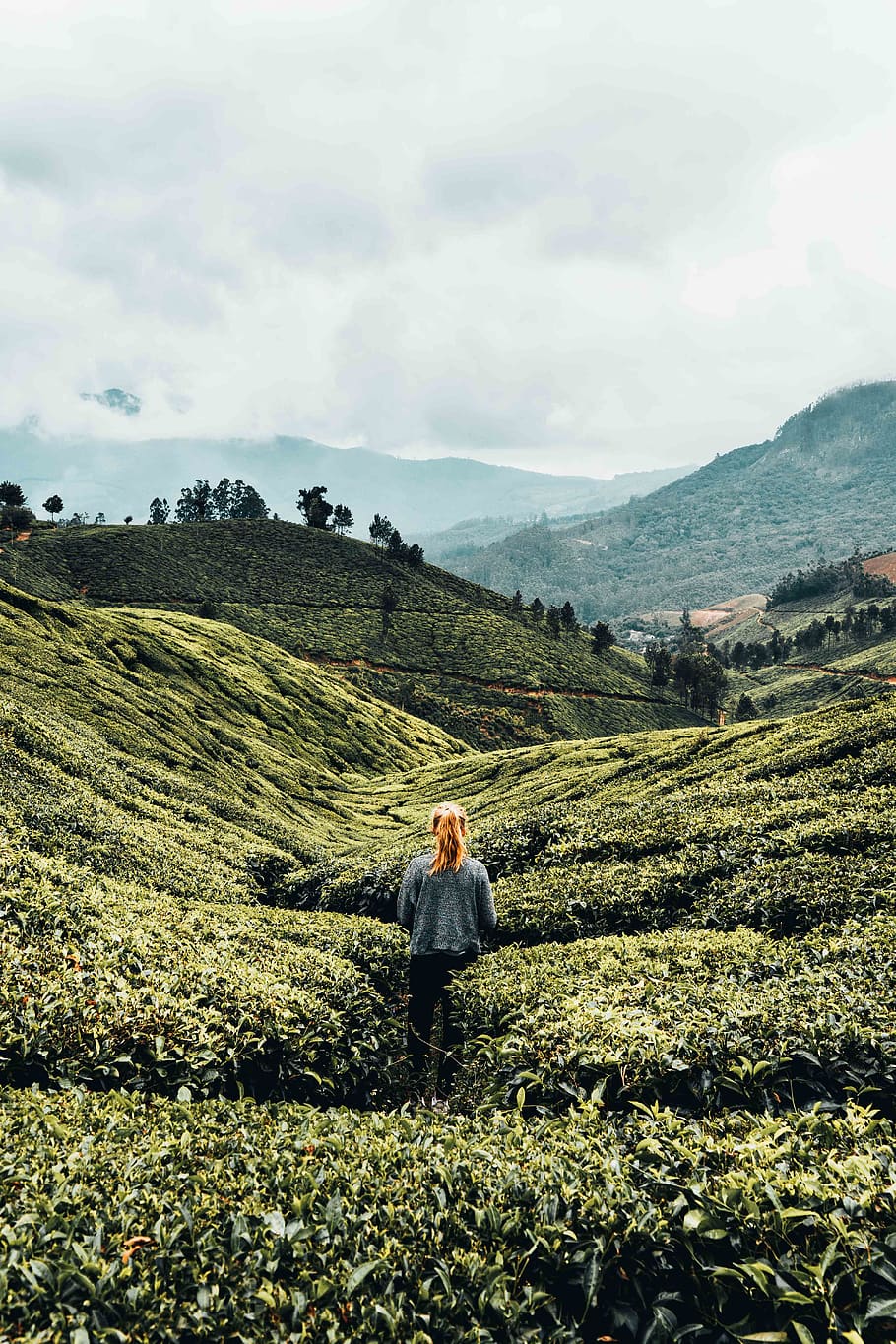 hill, green, model, indium, tea, real people, one person, land HD wallpaper