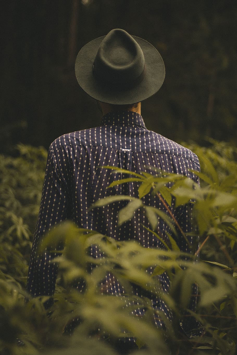 people, guy, man, nature, outdoor, fashion, hat, dark, blur HD wallpaper