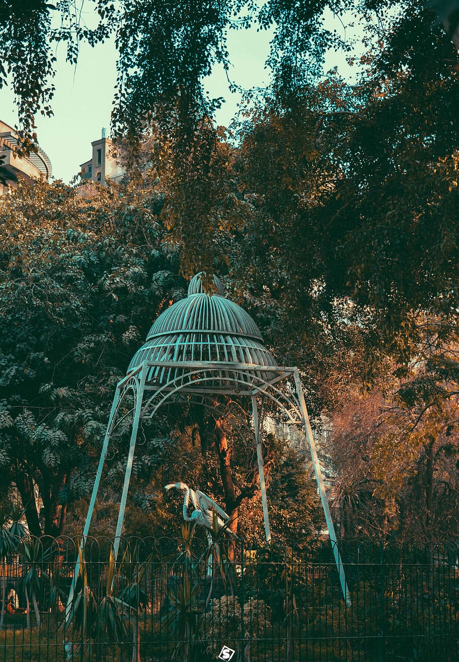 trees, forest, zoo, egypt, thezoo, green, plant, architecture HD wallpaper