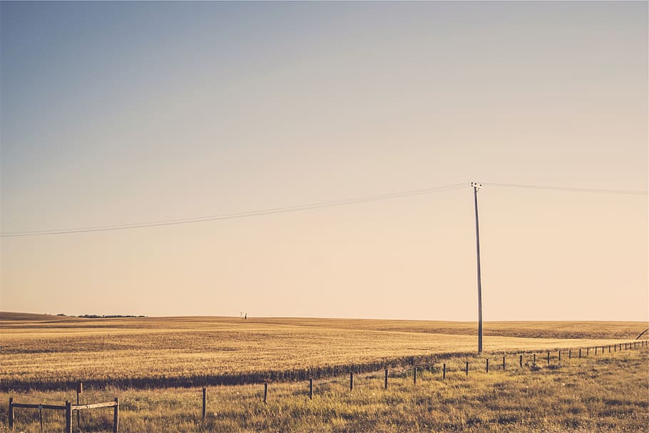 rural, fields, grass, power lines, sky, landscape, environment HD wallpaper