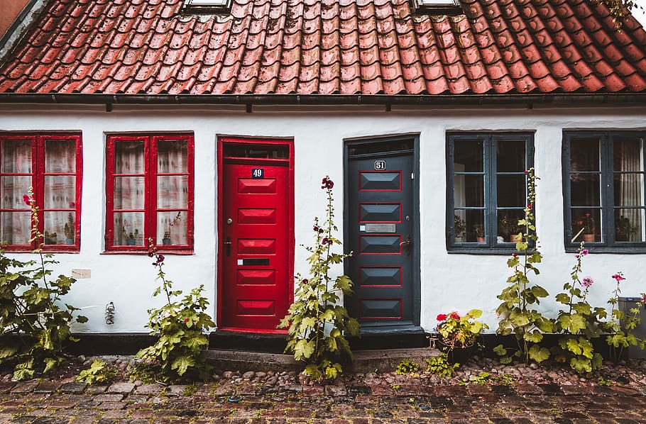 HD wallpaper: two red and black house door with plants, architecture