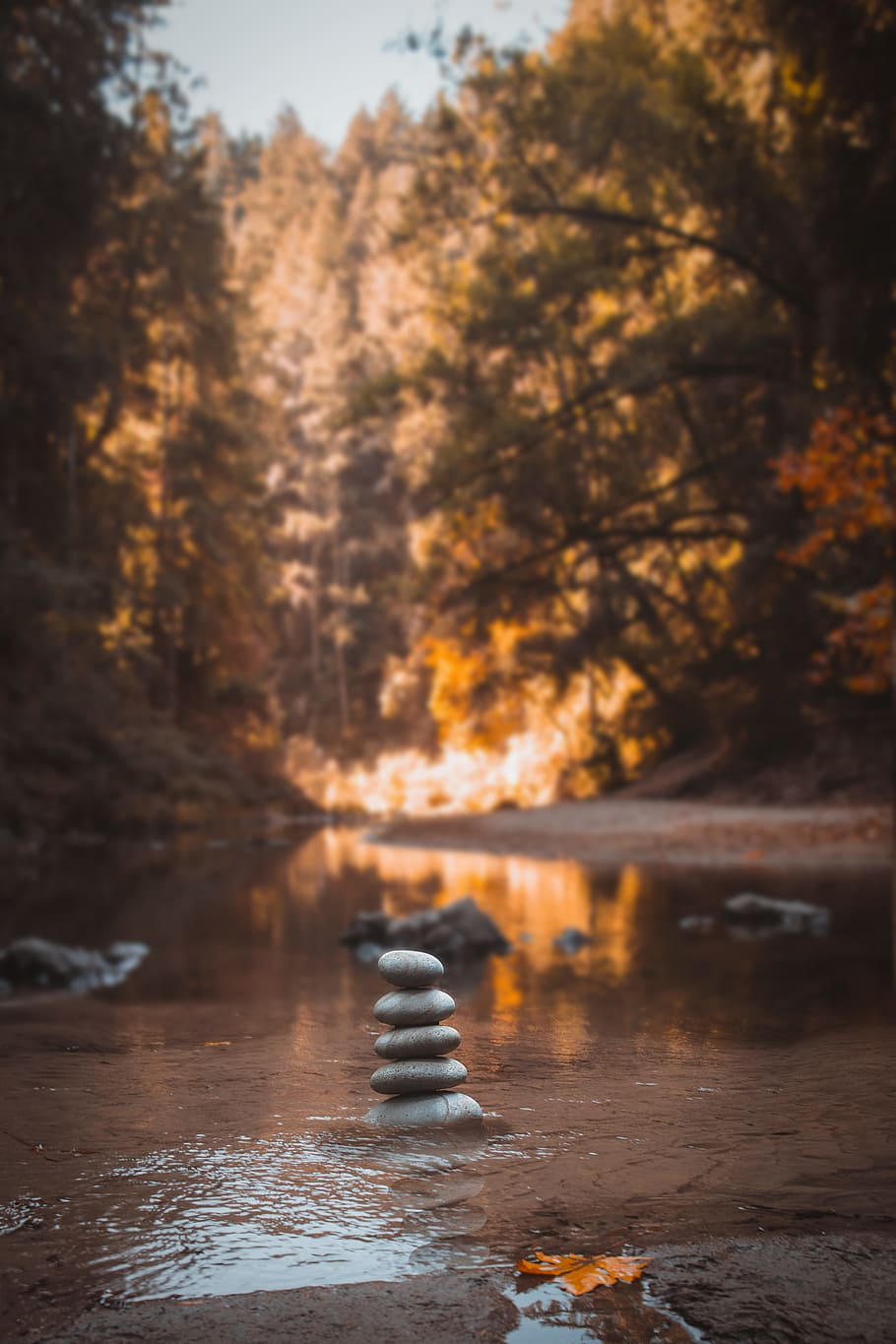 Rock in Body of Water Surrounded by Tree, daylight, environment HD wallpaper