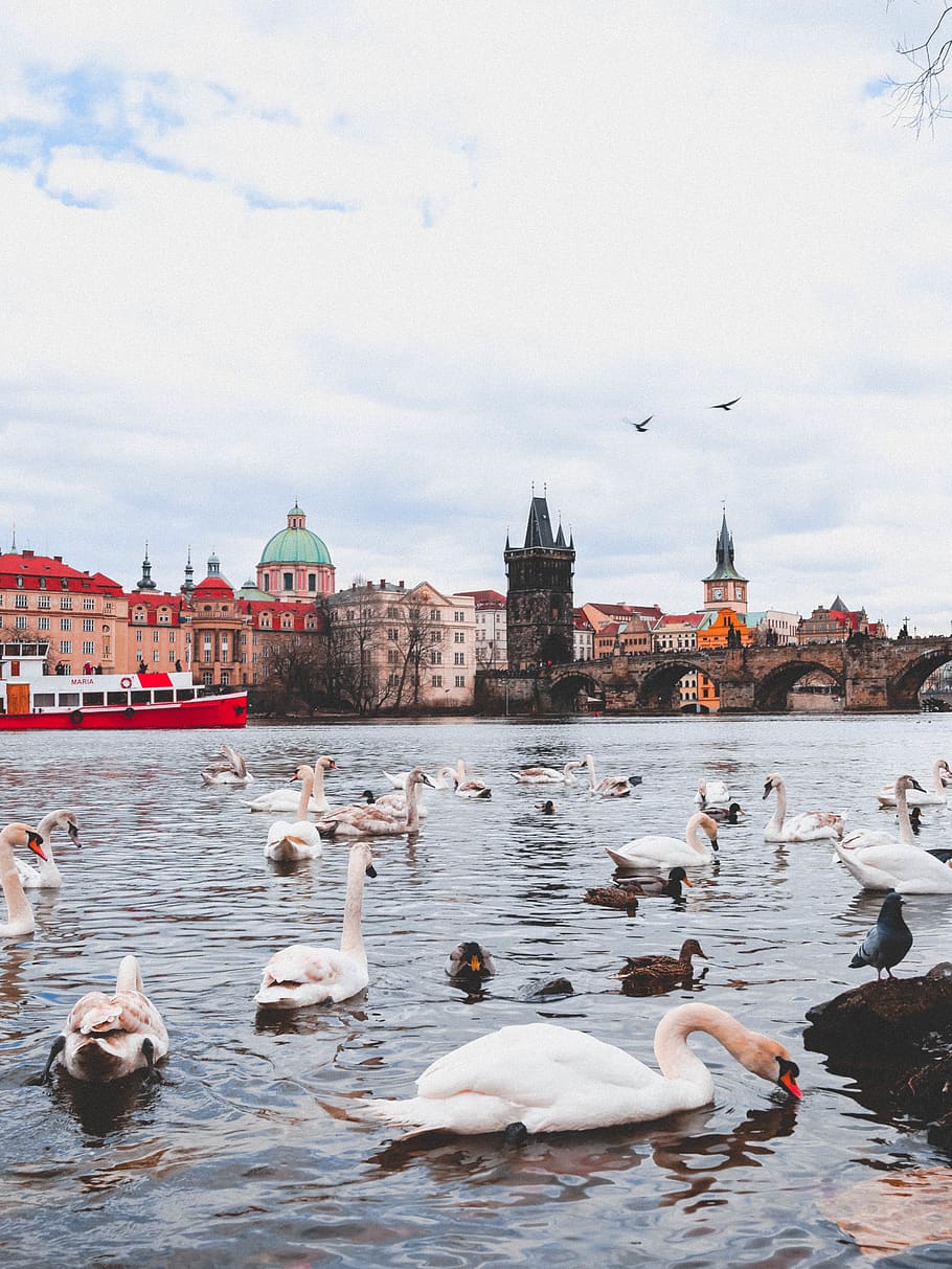 czech, prague, perspective, building, buildings, architexture HD wallpaper