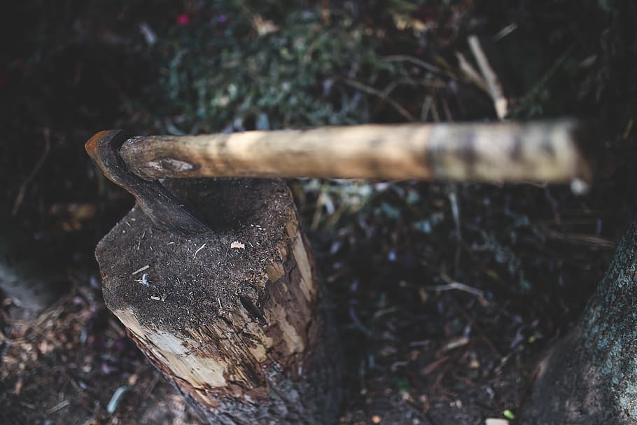 Online crop | HD wallpaper: Ax in the stump, wood, forest, tree, wood